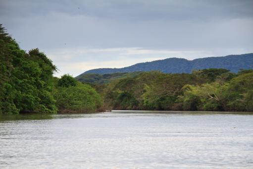 Palo Verde National Park